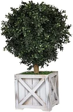 Tin Roof Interiors 24" Tall Artificial Boxwood Shrubs (2), Includes Galvanized Metal Pot, Outdoor Ready, Natural Looking Fake Potted Shrubs 28 Tin Roof Interiors 24" Tall Artificial Boxwood Shrubs (2), Includes Galvanized Metal Pot, Outdoor Ready, Natural Looking Fake Potted Shrubs -Artificial Trees Store 51BjPyouUkL. AC