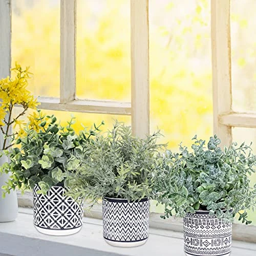 Set Of 3 Assorted Small Potted Plants Fake Eucalyptus Rosemary Plants In Black & White Geometric Concrete Ceramic Pots For Table Centerpiece Desk Shelf Kitchen Office Indoor Outdoor Greenery Decor 6 Set Of 3 Assorted Small Potted Plants Fake Eucalyptus Rosemary Plants In Black & White Geometric Concrete Ceramic Pots For Table Centerpiece Desk Shelf Kitchen Office Indoor Outdoor Greenery Decor - Image 4