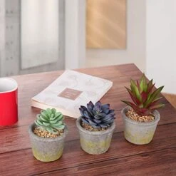 Meneco Faux Succulents Artificial Plants – 16 Pack Lifelike Fake Succulent Plants Unpotted 10 Meneco Faux Succulents Artificial Plants – 16 Pack Lifelike Fake Succulent Plants Unpotted -Artificial Trees Store 51BjmposD6L