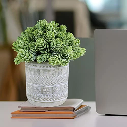 Set Of 3 Assorted Small Potted Succulent Plants Fake Aloe String Of Pearls Hops Succulents In Gray Geometric Concrete Ceramic Pots For Gifts Modern Home Office Desk Table Indoor Outdoor Greenery Decor 8 Set Of 3 Assorted Small Potted Succulent Plants Fake Aloe String Of Pearls Hops Succulents In Gray Geometric Concrete Ceramic Pots For Gifts Modern Home Office Desk Table Indoor Outdoor Greenery Decor - Image 6