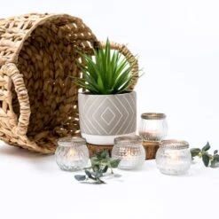 Kurrajong Farmhouse 8" X 4.5" Beautiful Fake Plant | Artificial Potted Plant Decor | Faux Plant | Artificial Succulent Plants Potted For Home Decor Indoor | Fake Potted Plant | Fake Succulents 9 Kurrajong Farmhouse 8" X 4.5" Beautiful Fake Plant | Artificial Potted Plant Decor | Faux Plant | Artificial Succulent Plants Potted For Home Decor Indoor | Fake Potted Plant | Fake Succulents -Artificial Trees Store 51C2hiGTsnL