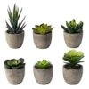 Sophia's Garden Small Artificial Succulents Plants Artificial Potted Fake Plant Decor Bedroom (6 Piece Faux Succulents In Pots 2.3") Fake Succulent Decor Fake Succulents Mini Succulents Desk Office -Artificial Trees Store 51DCMA1dwdL