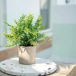Velener Artificial Potted Rosemary Plants- Rustic Farmhouse Topiary Shrubs For Decoration Centerpieces Living Room, Shelf Bedroom Aesthetic Green Bathroom Accessories Boho Small Desk Plant Office 12 Velener Artificial Potted Rosemary Plants- Rustic Farmhouse Topiary Shrubs For Decoration Centerpieces Living Room, Shelf Bedroom Aesthetic Green Bathroom Accessories Boho Small Desk Plant Office -Artificial Trees Store 51DQDGJ3ZdL