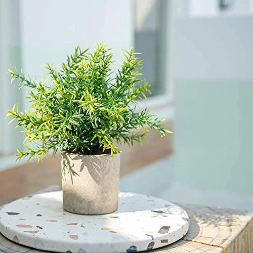 Velener Artificial Potted Rosemary Plants- Rustic Farmhouse Topiary Shrubs For Decoration Centerpieces Living Room, Shelf Bedroom Aesthetic Green Bathroom Accessories Boho Small Desk Plant Office 6 Velener Artificial Potted Rosemary Plants- Rustic Farmhouse Topiary Shrubs For Decoration Centerpieces Living Room, Shelf Bedroom Aesthetic Green Bathroom Accessories Boho Small Desk Plant Office - Image 4