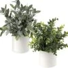 Briful Mini Fake Plants Set Of 2 Small Faux Plant Eucalyptus Rosemary Greenery Potted Plants Artificial Decor For Home Table Office Room Desk Bathroom Shelf Kitchen Farmhouse Mantel Decoration -Artificial Trees Store 51DcfQzDdyL