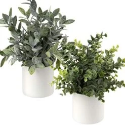 Briful Mini Fake Plants Set Of 2 Small Faux Plant Eucalyptus Rosemary Greenery Potted Plants Artificial Decor For Home Table Office Room Desk Bathroom Shelf Kitchen Farmhouse Mantel Decoration 23 Briful Mini Fake Plants Set Of 2 Small Faux Plant Eucalyptus Rosemary Greenery Potted Plants Artificial Decor For Home Table Office Room Desk Bathroom Shelf Kitchen Farmhouse Mantel Decoration -Artificial Trees Store 51DcfQzDdyL. AC