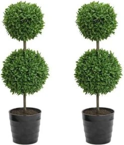 Admired By Nature Tabletop English Artificial Boxwood, Green (GTR7680-GREEN-2) -Artificial Trees Store 51DoCXI GqL. AC