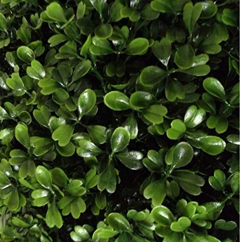 VOPVZVKO Two Artificial Outdoor 4' Spiral Boxwood Topiary UV Rated! Free Returns! 4 VOPVZVKO Two Artificial Outdoor 4' Spiral Boxwood Topiary UV Rated! Free Returns! - Image 2