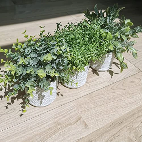 Set Of 3 Assorted Small Potted Plants Fake Eucalyptus And Rosemary Plants In Gray Geometric Concrete Ceramic Pots For Gifts Home Kitchen Office Shelf Table Desk Modern Indoor Outdoor Greenery Decor 8 Set Of 3 Assorted Small Potted Plants Fake Eucalyptus And Rosemary Plants In Gray Geometric Concrete Ceramic Pots For Gifts Home Kitchen Office Shelf Table Desk Modern Indoor Outdoor Greenery Decor - Image 6