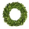 BoxwoodValley Preserved Boxwood Wreath 16 Inch Year Round Green Wreath For Halloween, Christmas Wreath Decor Green Garland For Indoor Green Autumn Wreath Decor (16 Inch) -Artificial Trees Store 51E4YxtS73L