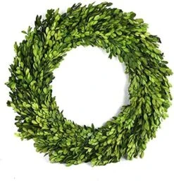 BoxwoodValley Preserved Boxwood Wreath 16 Inch Year Round Green Wreath For Halloween, Christmas Wreath Decor Green Garland For Indoor Green Autumn Wreath Decor (16 Inch) -Artificial Trees Store 51E4YxtS73L. AC