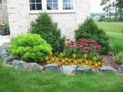 Artificial Croton Plant Leaf Branches Lifelike Tropical Houseplant Bush Stems For Home Office Decoration (Green - Pack Of 4) 11 Artificial Croton Plant Leaf Branches Lifelike Tropical Houseplant Bush Stems For Home Office Decoration (Green - Pack Of 4) -Artificial Trees Store 51E4qvgZItL