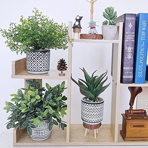 Set Of 3 Assorted Small Potted Plants Fake Eucalyptus Boxwood Plants Aloe Succulent Plant In Black And White Geometric Pots For Table Centerpiece Windowsill Shelf Indoor Outdoor Garden Greenery Decor 5 Set Of 3 Assorted Small Potted Plants Fake Eucalyptus Boxwood Plants Aloe Succulent Plant In Black And White Geometric Pots For Table Centerpiece Windowsill Shelf Indoor Outdoor Garden Greenery Decor - Image 3