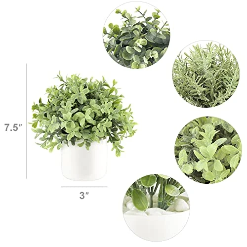 Mkono Fake Plants In Ceramic Pot, 3 Pack Potted Artificial Eucalyptus Plants For Home Decor Indoor Faux Green Rosemary For Desk Shelf Coffee Centerpiece Bathroom Office Decor 5 Mkono Fake Plants In Ceramic Pot, 3 Pack Potted Artificial Eucalyptus Plants For Home Decor Indoor Faux Green Rosemary For Desk Shelf Coffee Centerpiece Bathroom Office Decor - Image 3