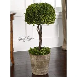 Beaumont Lane Tree Topiary Preserved In Natural Evergreen -Artificial Trees Store 51EE6SDDt4L