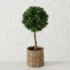 WHW Whole House Worlds Realistic Faux Potted Boxwood Ball Topiary Tree, Rattan Basket Planter, 17 Inches Tall, Weighted Bottom, French Country Style 11 WHW Whole House Worlds Realistic Faux Potted Boxwood Ball Topiary Tree, Rattan Basket Planter, 17 Inches Tall, Weighted Bottom, French Country Style -Artificial Trees Store 51EdzvRRzDL