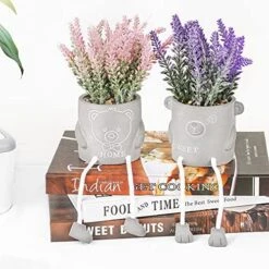 Natheeph 2 Pcs Succulents Plants Artificial Fake Plant Faux Succulents Hanging Leg With Cement Potted For Home Office Desk Bedroom Bookshelf Greenery Decoration (Smile & Bear) -Artificial Trees Store 51FFo6pTxXL. AC