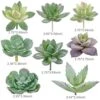 Augshy Artificial Succulents, 16 Pack Fake Succulents Plants Artificial Small Fake Plants Faux Succulents Unpotted For Lotus Landscape Decorative Garden Arrangement Decor -Artificial Trees Store 51FIMJAvIAL