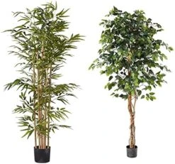 Nearly Natural 5253 Bamboo Silk Tree, 64-Inch, Green -Artificial Trees Store 51FOex38bXL. AC