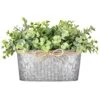 Dahey Artificial Eucalyptus Leaves Faux Plants Indoor For Farmhouse Home Decor, Desk Fake Potted Plants In Rustic Rectangular Pots Table Centerpiece For Office Bathroom Desk Room Greenery Decor -Artificial Trees Store 51FSZHYAh8L