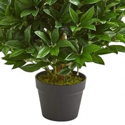 Nearly Natural 3-Ft. Bay Leaf Artificial Topiary UV Resistant (Indoor/Outdoor) Silk Trees Green -Artificial Trees Store 51FawSw8UlL