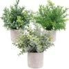OUTLEE 3 Pack Mini Artificial Potted Plants Faux Eucalyptus Plants Boxwood Rosemary Greenery In Pots Small Houseplants For Home Decor Office Desk Shower Room Decoration -Artificial Trees Store 51FlThytG3L