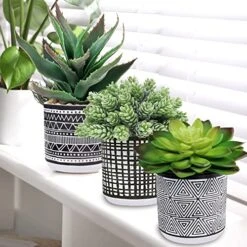 Winlyn Set Of 3 Assorted Small Potted Succulents Arrangement Artificial Succulent Plants In Black And White Geometric Pots For Table Centerpiece Windowsill Shelf Indoor Outdoor Garden Greenery Decor 9 Winlyn Set Of 3 Assorted Small Potted Succulents Arrangement Artificial Succulent Plants In Black And White Geometric Pots For Table Centerpiece Windowsill Shelf Indoor Outdoor Garden Greenery Decor -Artificial Trees Store 51G4beLwOXL