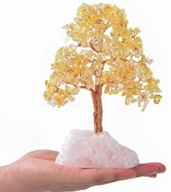 KALIFANO Premium Natural Tree Of Life (414 Gemstone Count) Chakra Crystal Tree With Rose Quartz Base With Healing Properties - Bonsai Feng Shui Money Tree For Healing And Luck 20 KALIFANO Premium Natural Tree Of Life (414 Gemstone Count) Chakra Crystal Tree With Rose Quartz Base With Healing Properties - Bonsai Feng Shui Money Tree For Healing And Luck -Artificial Trees Store 51G7Rp2NsXS. AC
