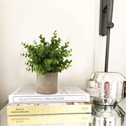 Briful Artificial Potted Plants Set Of 3 Small Faux Plant Eucalyptus Mini Fake Plant Decor For Home Table Office Room Desk Bathroom Shelf Kitchen Rustic Farmhouse Mantel Decoration 17 Briful Artificial Potted Plants Set Of 3 Small Faux Plant Eucalyptus Mini Fake Plant Decor For Home Table Office Room Desk Bathroom Shelf Kitchen Rustic Farmhouse Mantel Decoration -Artificial Trees Store 51GE9VJrucL