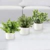 Seeko Fake Plants For Home Décor, Shelf, Office, Bathroom, Laundry Room - Artificial Plants For Home Décor Indoor, Faux Plants - Ceramic Potted Farmhouse Decor -Artificial Trees Store 51GK0Pwe75L