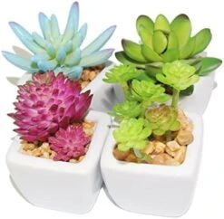Myartte Artificial Succulent Plants Fake Succulents Mini Faux Plants For Home/Office Docor (Resin Pots) … 18 Myartte Artificial Succulent Plants Fake Succulents Mini Faux Plants For Home/Office Docor (Resin Pots) … -Artificial Trees Store 51GZGWy7QxL. AC