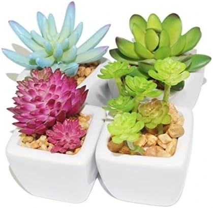 Myartte Artificial Succulent Plants Fake Succulents Mini Faux Plants For Home/Office Docor (Resin Pots) … 10 Myartte Artificial Succulent Plants Fake Succulents Mini Faux Plants For Home/Office Docor (Resin Pots) … - Image 8