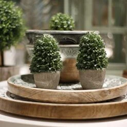 WHW Whole House Worlds Realistic Faux Boxwood Sculptural Topiary, Set Of 3, Curly Leaf, Cone And Ball Tops, Gray Stone Pot, Each 5.5 Inches Tall, Mixed Materials -Artificial Trees Store 51GjzEjS9TL