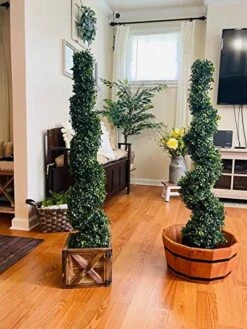 One 6 Foot 3 Inch Artificial Boxwood Spiral Topiary Tree Potted Indoor Or Outdoor -Artificial Trees Store 51H3zE3wQWL 1