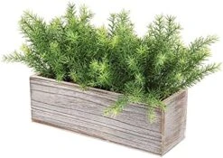 PLANT Artificial Wooden Potted Rosemary Faux Greenery In Wood Planter Box S For Rustic Farmhouse Centerpiece Tabletop Kitchen Shelf Decor -Artificial Trees Store 51HFupgNq S. AC