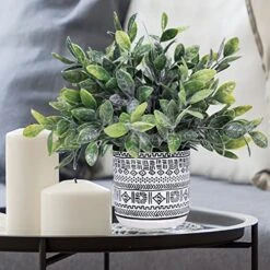 Set Of 3 Assorted Small Potted Plants Fake Eucalyptus Boxwood Plants Aloe Succulent Plant In Black And White Geometric Pots For Table Centerpiece Windowsill Shelf Indoor Outdoor Garden Greenery Decor 12 Set Of 3 Assorted Small Potted Plants Fake Eucalyptus Boxwood Plants Aloe Succulent Plant In Black And White Geometric Pots For Table Centerpiece Windowsill Shelf Indoor Outdoor Garden Greenery Decor -Artificial Trees Store 51HhDHj3CsL