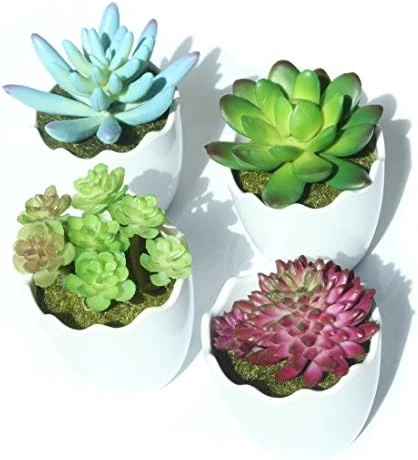 Myartte Artificial Succulent Plants Fake Succulents Mini Faux Plants For Home/Office Docor (Resin Pots) … 11 Myartte Artificial Succulent Plants Fake Succulents Mini Faux Plants For Home/Office Docor (Resin Pots) … - Image 9
