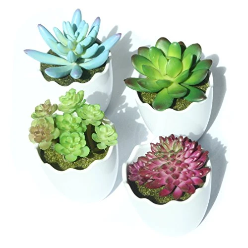 Myartte Artificial Succulent Plants Fake Succulents Mini Faux Plants For Home/Office Docor (Resin Pots) … 3 Myartte Artificial Succulent Plants Fake Succulents Mini Faux Plants For Home/Office Docor (Resin Pots) …