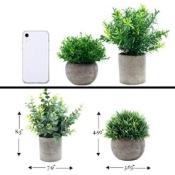 GreenCallow Artificial Plants For Home Decor Indoor. 4 Mini Plants, Rosemary Faux Plant Decor, Eucalyptus Plant, Grass Faux Plants. Small Fake Plants For Shelf Or Desk Plant Artificial Greenery Décor 15 GreenCallow Artificial Plants For Home Decor Indoor. 4 Mini Plants, Rosemary Faux Plant Decor, Eucalyptus Plant, Grass Faux Plants. Small Fake Plants For Shelf Or Desk Plant Artificial Greenery Décor -Artificial Trees Store 51HqTqIgKcL