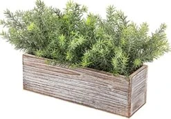 PLANT Artificial Wooden Potted Rosemary Faux Greenery In Wood Planter Box S For Rustic Farmhouse Centerpiece Tabletop Kitchen Shelf Decor -Artificial Trees Store 51HyFMCKVYS. AC