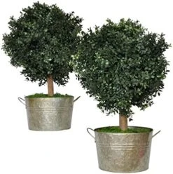 Tin Roof Interiors 24" Tall Artificial Boxwood Shrubs (2), Includes Galvanized Metal Pot, Outdoor Ready, Natural Looking Fake Potted Shrubs 26 Tin Roof Interiors 24" Tall Artificial Boxwood Shrubs (2), Includes Galvanized Metal Pot, Outdoor Ready, Natural Looking Fake Potted Shrubs -Artificial Trees Store 51HyvjylMuL. AC