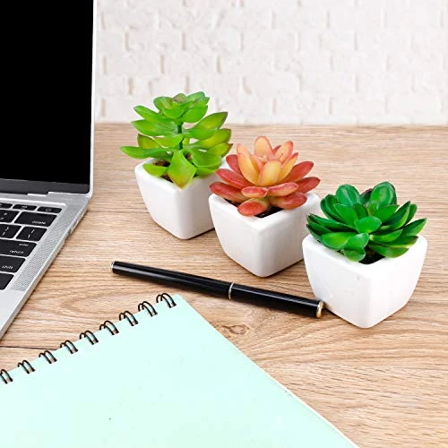 Faux Succulents In Pots Fake Succulents Small Artificial Succulents Potted For Home Office Desk Farmhouse Greenery Decor, 12 Pack 6 Faux Succulents In Pots Fake Succulents Small Artificial Succulents Potted For Home Office Desk Farmhouse Greenery Decor, 12 Pack - Image 4