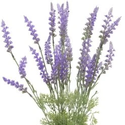 SN Decor Season’s Need 2Pc Artificial Lavender Flowers For Outdoor Decoration, UV Resistant Fake Shrubs Greenery Bushes House Office Patio Indoor Décor (20” Tall Lavender Bush) -Artificial Trees Store 51IU3otl2aL