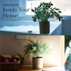 Kitzini Topiary Balls. 3 Fake Plants: Clipped Succulent, White & Purple Blossom. Realistic Artificial Plants For Home Decor Indoor. Gift Boxed. Premium Pot Set. 11 Kitzini Topiary Balls. 3 Fake Plants: Clipped Succulent, White & Purple Blossom. Realistic Artificial Plants For Home Decor Indoor. Gift Boxed. Premium Pot Set. -Artificial Trees Store 51IVhIybHnS