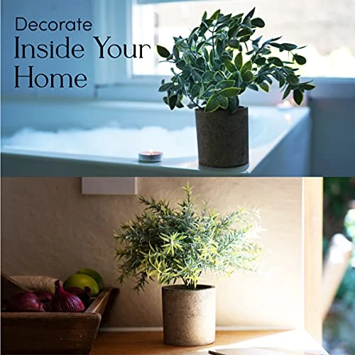 Kitzini Topiary Balls. 3 Fake Plants: Clipped Succulent, White & Purple Blossom. Realistic Artificial Plants For Home Decor Indoor. Gift Boxed. Premium Pot Set. 6 Kitzini Topiary Balls. 3 Fake Plants: Clipped Succulent, White & Purple Blossom. Realistic Artificial Plants For Home Decor Indoor. Gift Boxed. Premium Pot Set. - Image 4