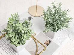 A Bundle Of Pack Mini Potted Fake Plants And 2 Packs Mini Fake Plants Small Artificial Plants For Bathroom Farmhouse Office Home Decor Indoor -Artificial Trees Store 51IzxhwsThL