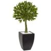 Nearly Natural 5950 42" UV Resistant (Indoor/Outdoor) Bay Leaf Topiary With Black Wash Planter 1 Nearly Natural 5950 42" UV Resistant (Indoor/Outdoor) Bay Leaf Topiary With Black Wash Planter -Artificial Trees Store 51J3J125M8L