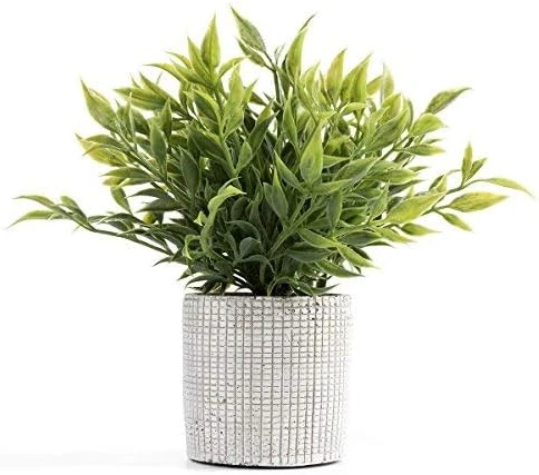 Cyrra Small Size Bathroom Living Room Laundry Room Guest Room Shop Table Shelf Decor Ideas Indoor Green Artificial Grass Shrub Plants 8 (High) X 4 (Pot Diameter Inch (Nandina S) 7 Cyrra Small Size Bathroom Living Room Laundry Room Guest Room Shop Table Shelf Decor Ideas Indoor Green Artificial Grass Shrub Plants 8 (High) X 4 (Pot Diameter Inch (Nandina S) - Image 5