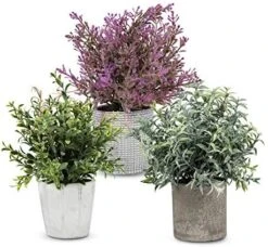 PENGYEE Artificial Plant, 3Pcs Mini Plants Artificial Potted Set Fake Green Grass Faux Plastic Green Rosemary Topiary Shrubs For Home Office Desk, Kitchen Counter Decoration -Artificial Trees Store 51JoFmIxOOL. AC