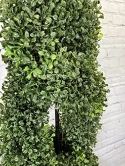 Admired By Nature 2 X 5' Artificial Boxwood Leave Double Spiral Topiary Plant Tree In Plastic Pot, Green, Twin Pack, 2 Count -Artificial Trees Store 51JpcatC9OL